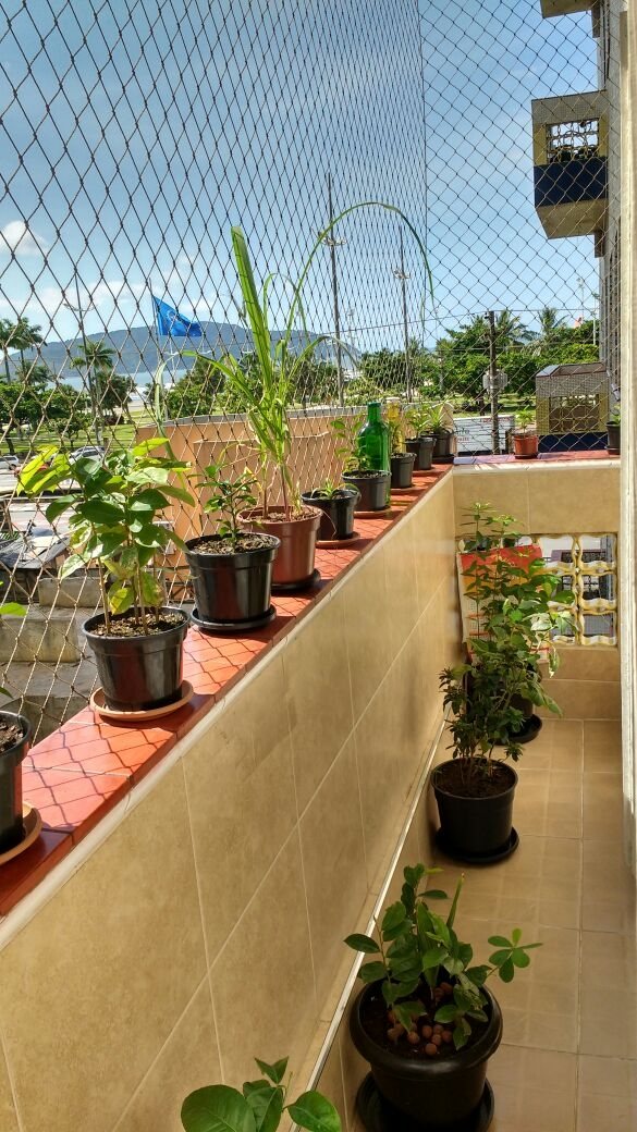 apartamento venda JOSÉ MENINO Santos 2197017 apartamento venda JOSÉ MENINO Santos